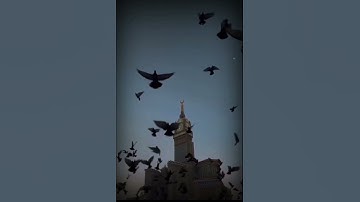 ليلة القدر خير من الف شهر || القارئ: ماهر المعيقلي || #القرآن_الكريم