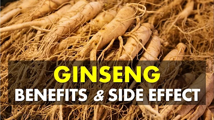 Ginseng Benefits and Side Effects, May Fight Tiredness and Increase Energy Levels - DayDayNews