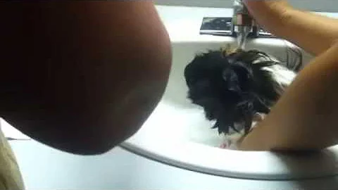Jimmy Jam gets  his first bath at ProfitStreams!