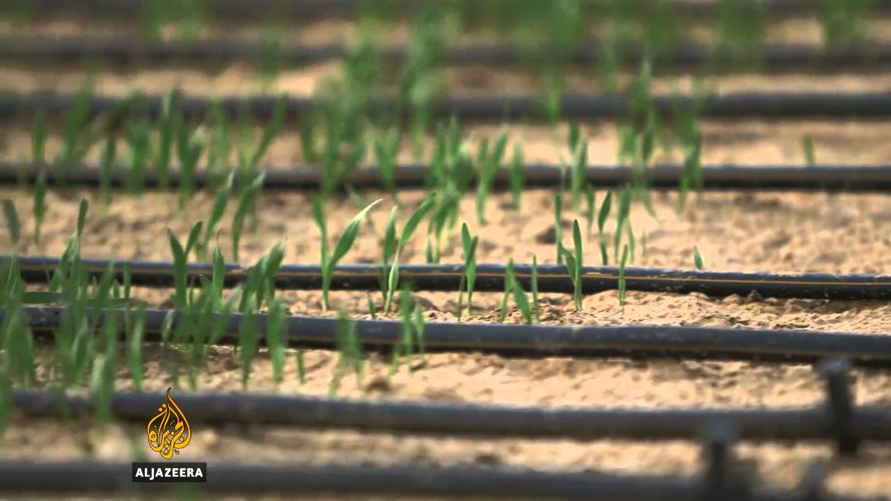 قطر تطور تقنيات خضراء جديدة - الجزيرة البلقان