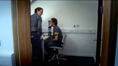 Saccadic masking demo