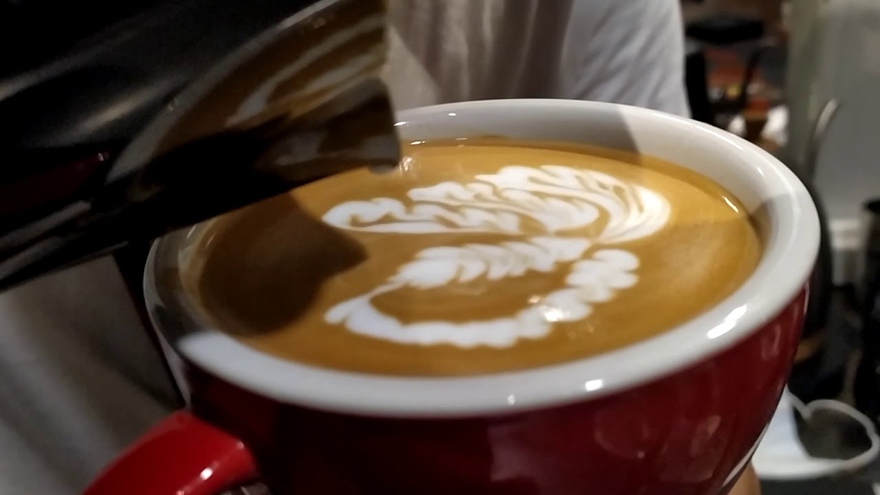 Latte Art Pattern Betta Fish (Ikan Cupang)