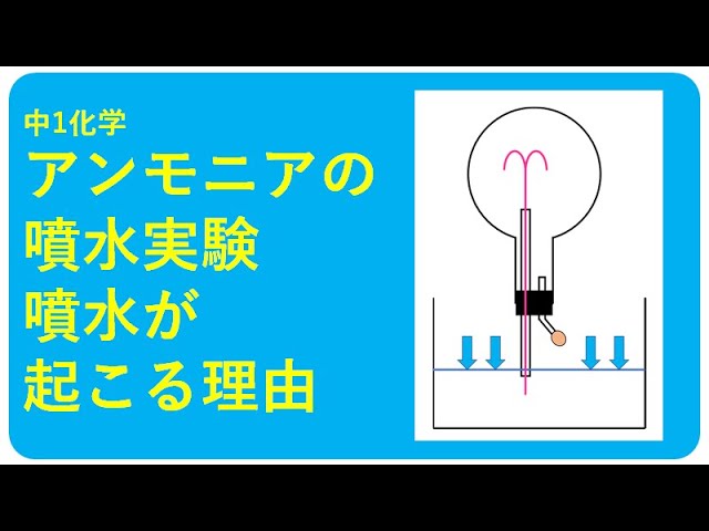 ストアー 実験用気体 二酸化炭素 理科 実健