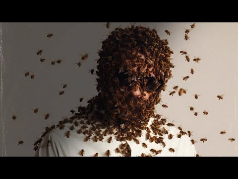Kashin - Swarm