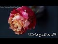 حالات واتس اب دينية 37 أضفيت على ان العبقا 