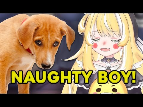 Inis Got Exposed By Her Dog