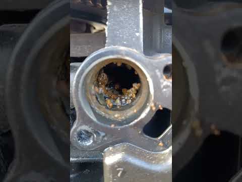 Is your Mercury 60hp 4 stroke getting hot? Alarms?