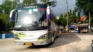 Perang Telolet Scorpion Holiday