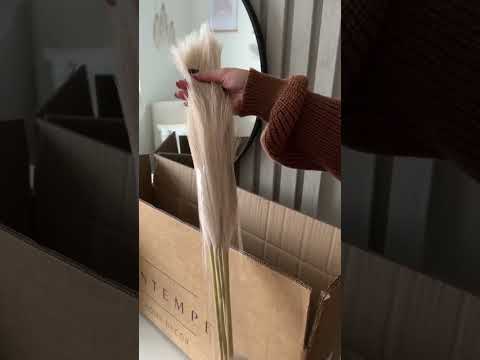 تنسيق فازات 