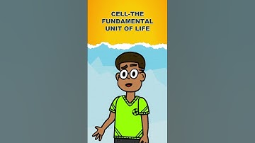 Class 9 NSO course by Avinash Sir Skills Centre #nationalscienceolympiad  #cbse #nsoclass9 #students