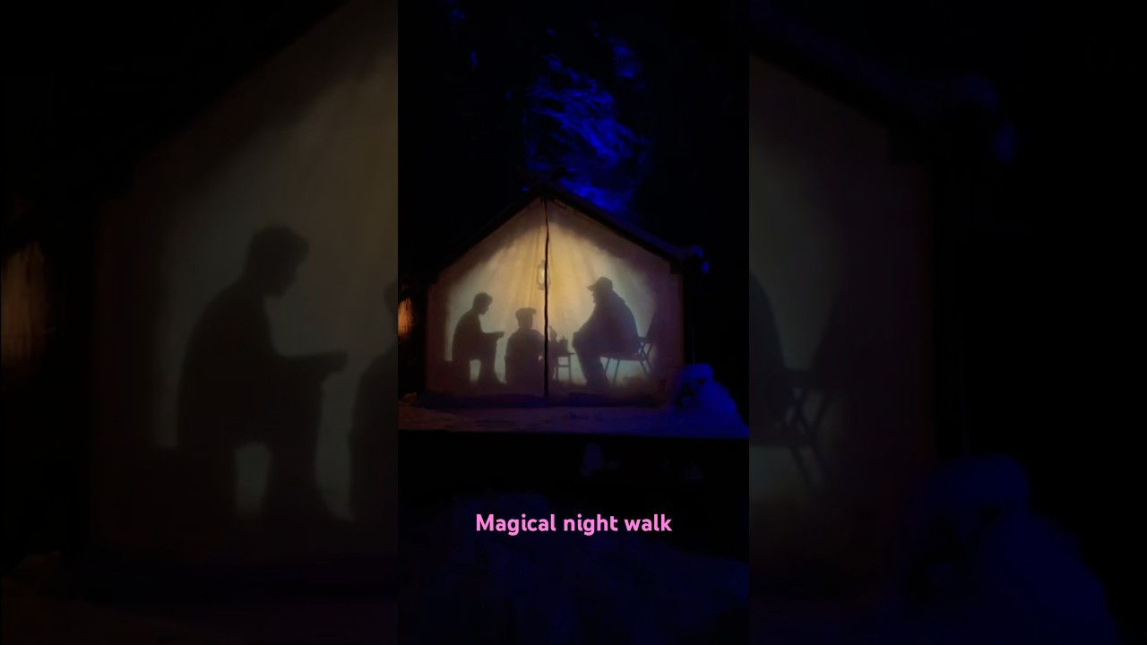 Magical Night Walk Through a Living Forest 