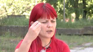 Porođaj Kuje - Lovački Saveti