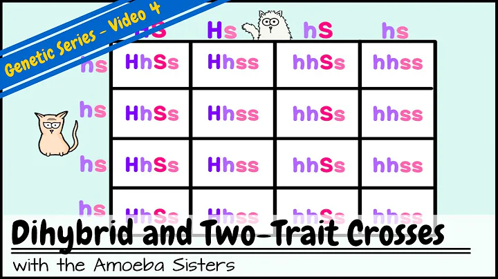 Master the Art of Dihybrid and Two-Trait Crosses