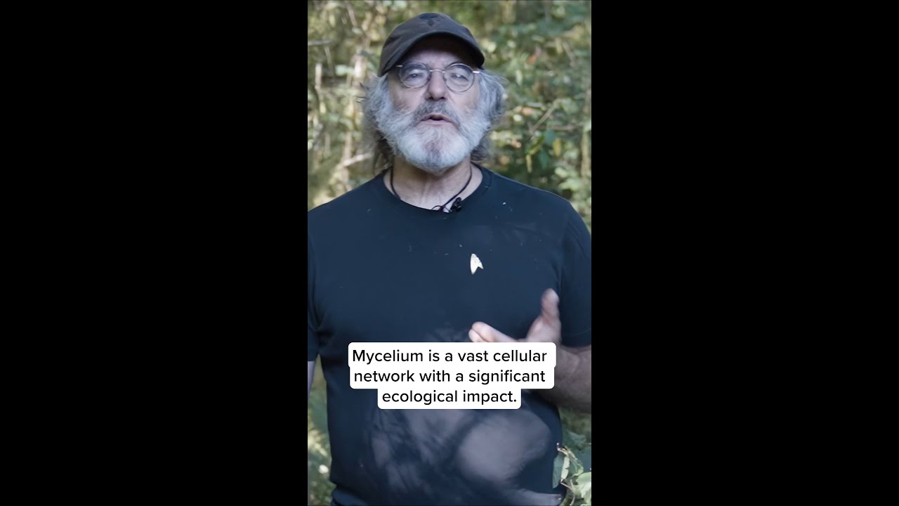 Paul Stamets on Mycelium (Part 1)