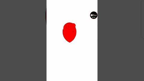 #Python program to create Rose flower using Turtle | #SHORTS