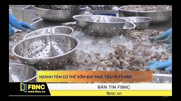 NGÀNH TÔM: Mục tiêu 10 tỷ USD có thể sớm đạt được | Tiêu Điểm FBNC 4/9/19
