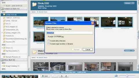 Picasa Tutorial - Batch Rename Your photos