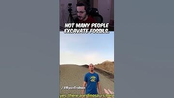 I Excavated a Fossil Site | Why is it trending? #shorts