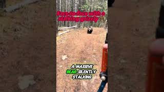Hiker Stalked By A Grizzly Bear Real Survival Encounter