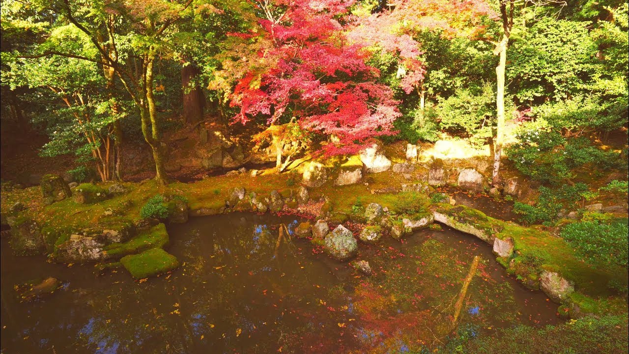Jg 4k Hdr 滋賀 多賀大社 奥書院庭園の紅葉 名勝 Shiga ataisha Garden In Autumn Scenic Beauty Youtube