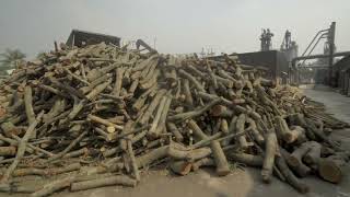 Production Process Of Partex Boards