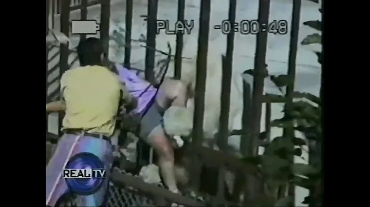 Binky The Polar Bear