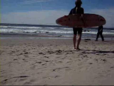 Let's Go Surfin' by Doug Newman (original) w Little Surfer Girl (B. Wilson - Beach Boys) (cover)