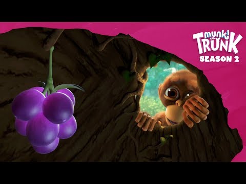 Munki's Trunk – Munki and Trunk Season 5 #13