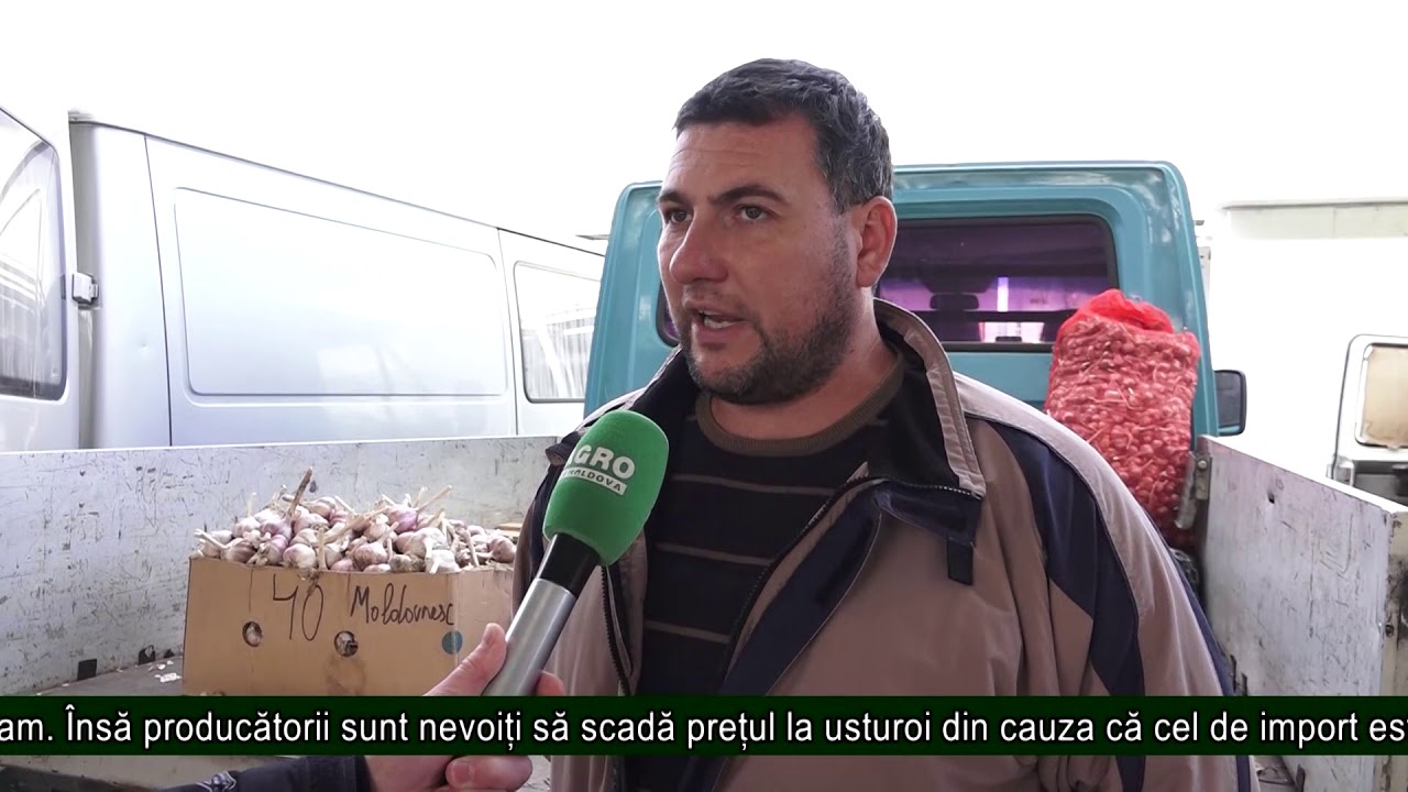 Prețuri curente la legume și fructe