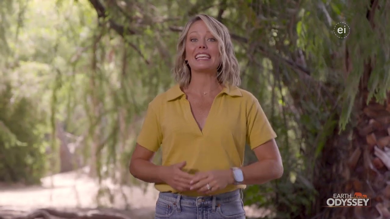 Earth Odyssey With Dylan Dreyer Season 7 Episode 9 Wilds of India