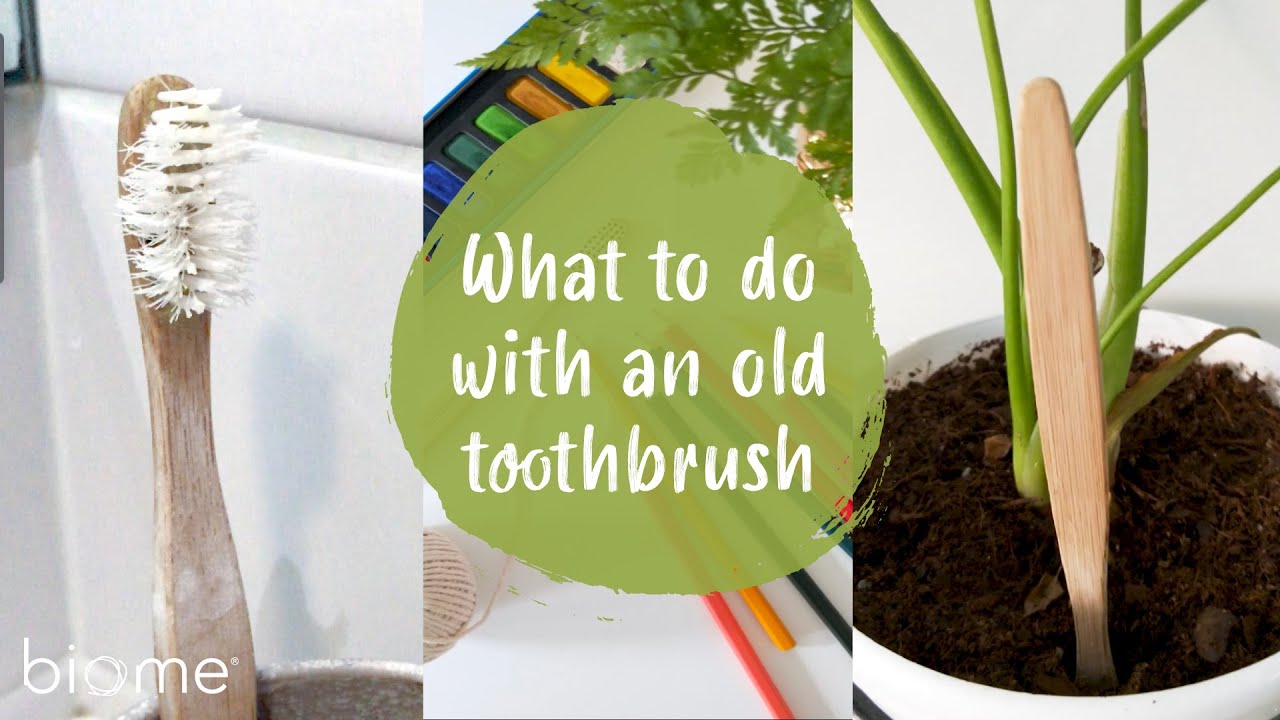 What to do with your old toothbrush