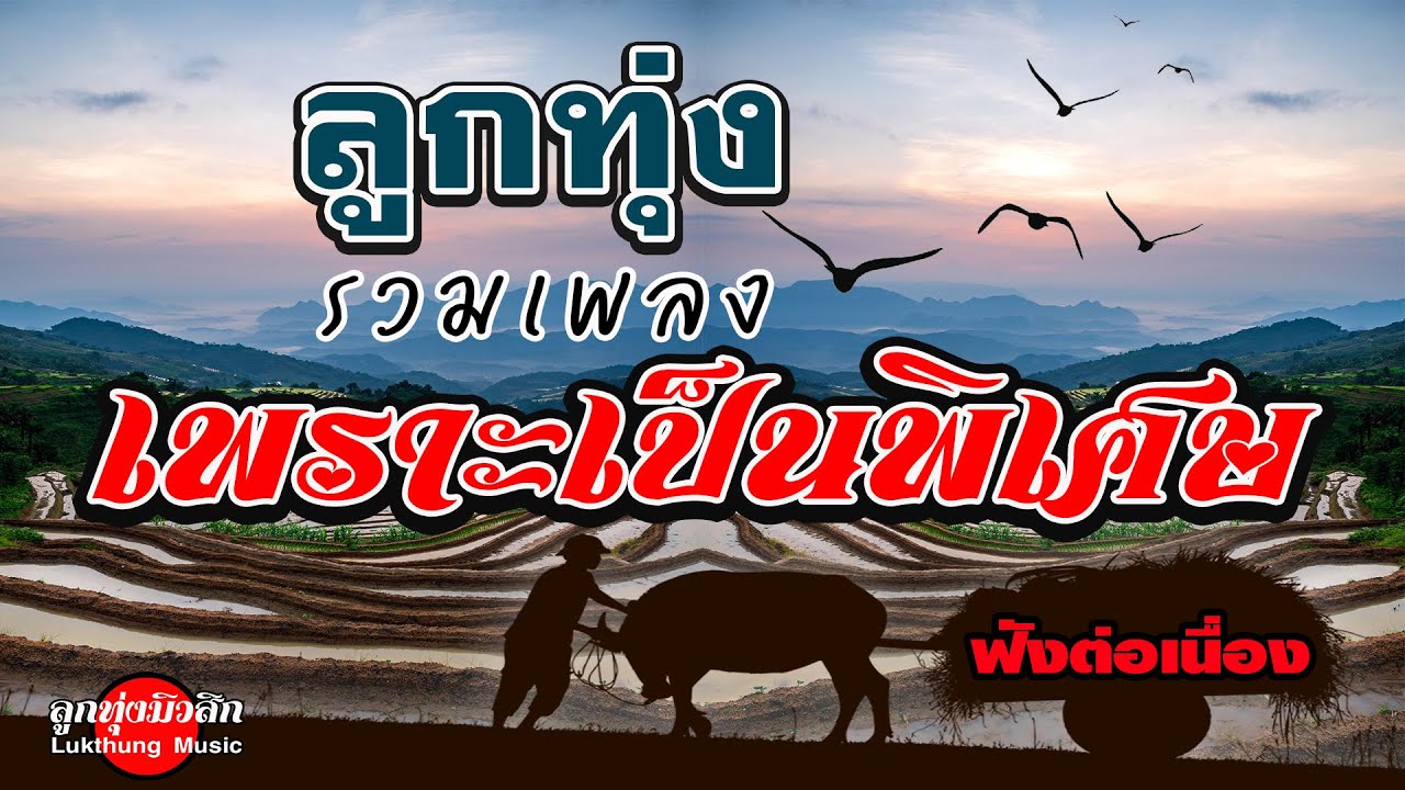 ลูกทุ่งรวมเพลงเพราะเป็นพิเศษ [ฟังต่อเนื่อง] #เพลงดัง