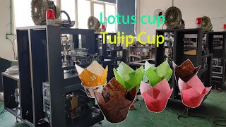 tulip cup machine ,JDGT-TF Tulip Paper Cake Cup machine ,