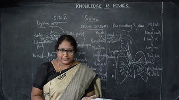 V STD - Science 01 - Organ Systems