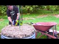 Planting a DANGEROUS Vegetable in a Refurbished Garden Bed