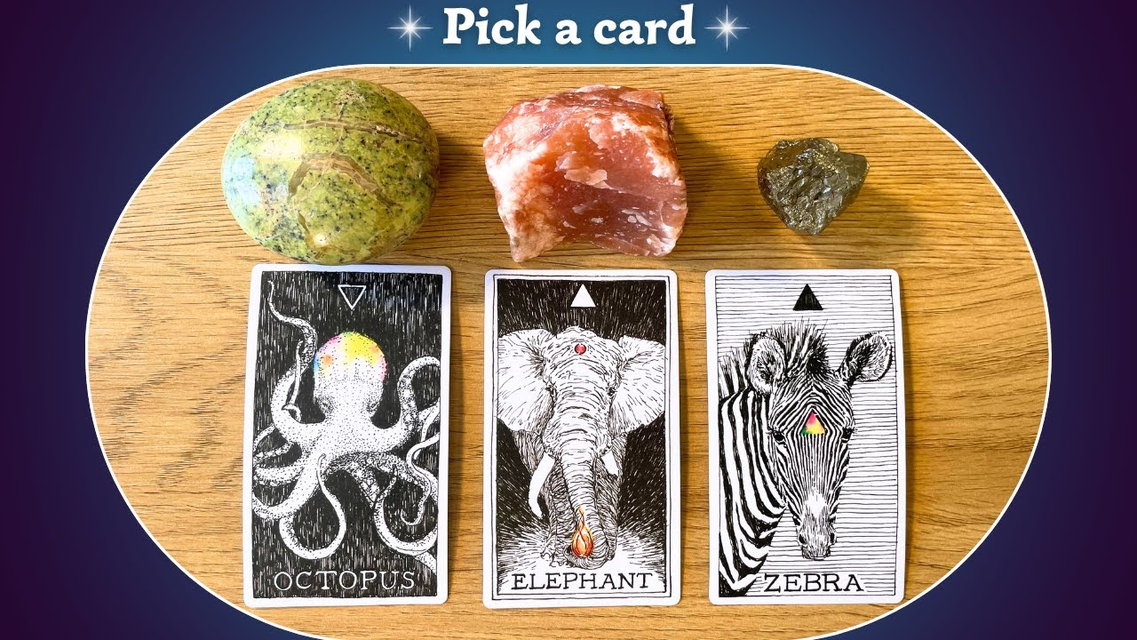 What Is Your Life Purpose? ✨💚💛🧡✨⎜ Pick a card⎜Timeless Reading