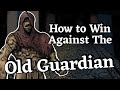 How to win against the old guardian in fear and hunger