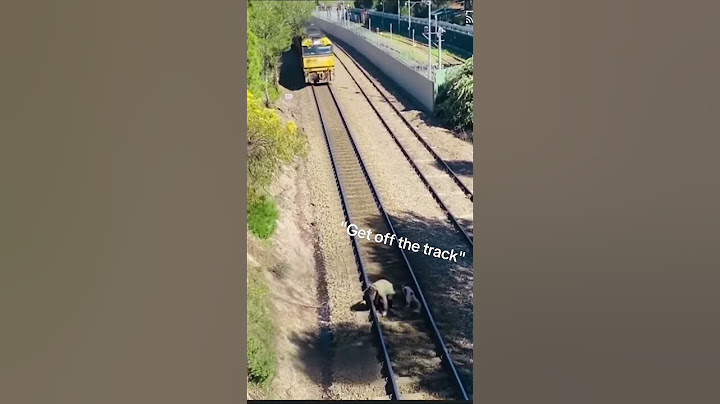 He risks his life for a dog 👏❤️