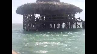 JAMAICA FLOYD'S PELICAN BAR Www.islanddreamtour.com