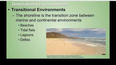 05 - Sedimentary Rocks: Depositional Environments