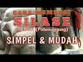 Cara membuat Silase Tebon (Batang Jagung) Simpel dan mudah. HOW TOW MAKE CORN SILAGE EASILY