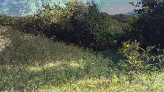 IMG 0115 2