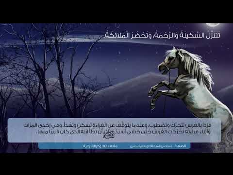 فضل تلاوة القرآن الكريم