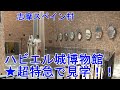 志摩スペイン村【ハビエル城博物館・超特急で見学!】2024.07