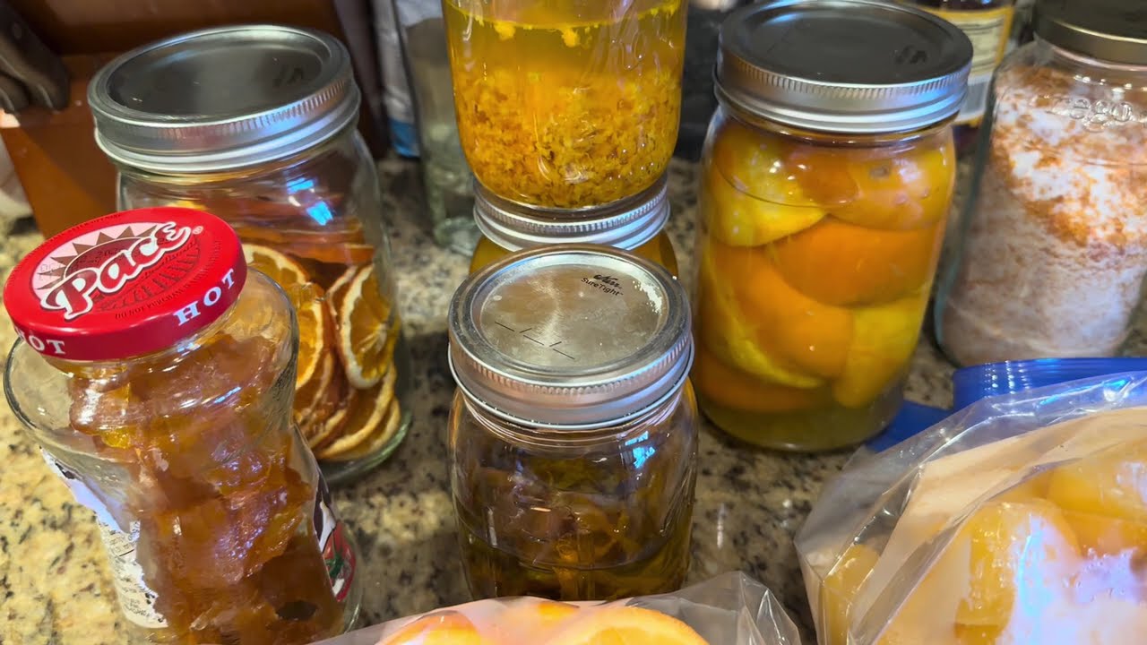 How to Preserve Oranges 🍊 Extracts, Oils, Sugar, Vinegar & Dried Peels
