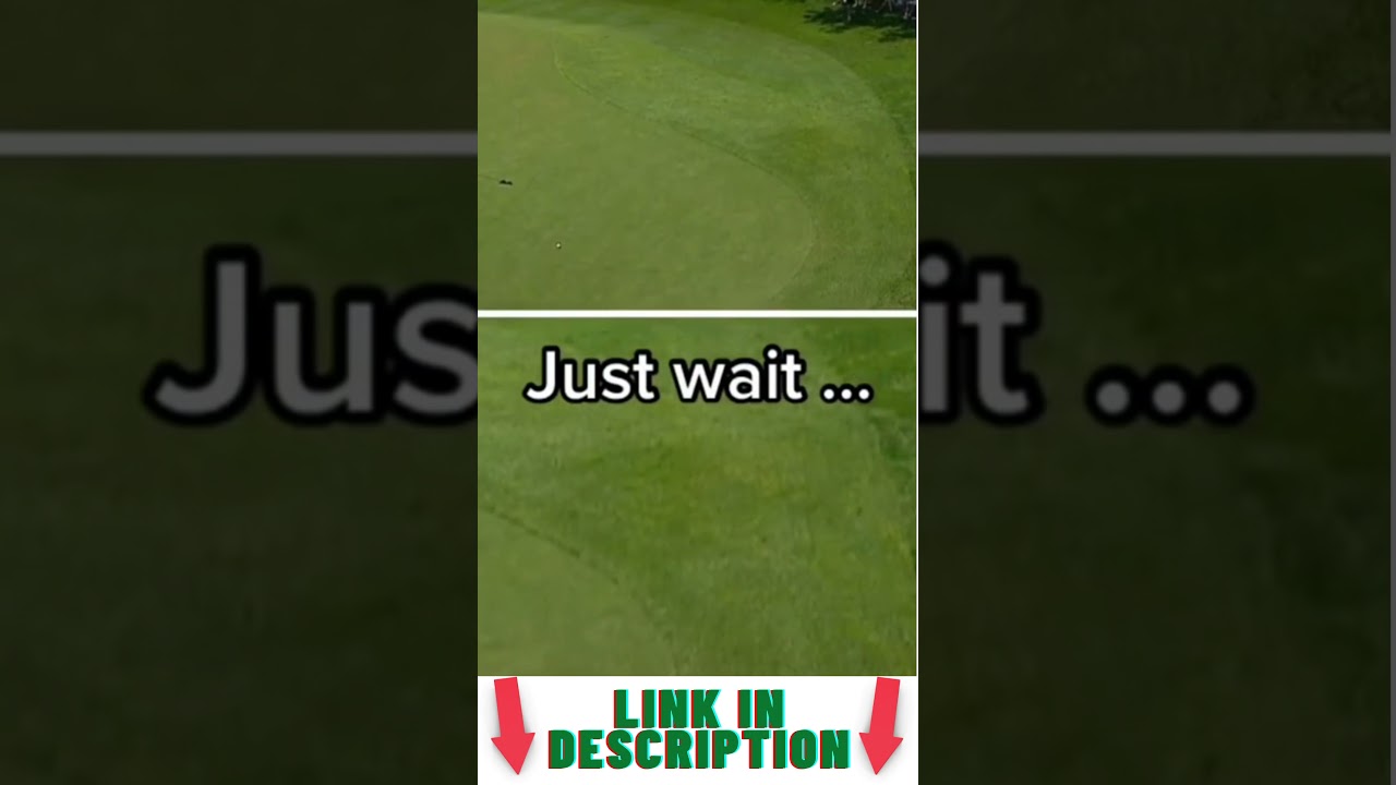 Best Golf Shots #shorts #golf #compilation #holeinone