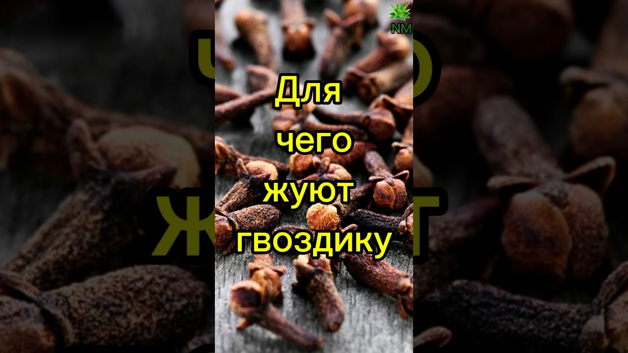 Для чего жуют гвоздику #здоровье #медицина #полезныесоветы #гвоздика