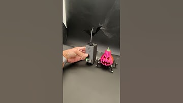 adafruit.com/3dhangouts - 458 Fluttering Bat and Crawling Pumpkin #adafruit #3dprinting