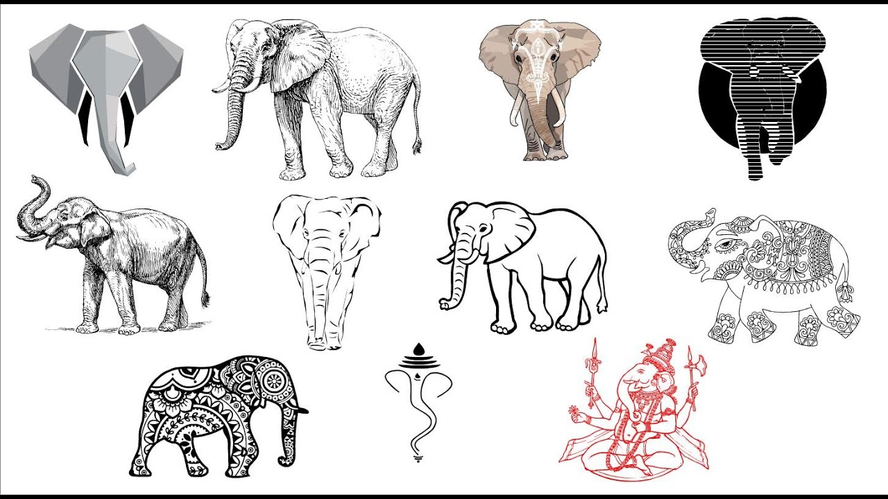 Sketch style Elephant tattoo done by @ashande.silva #tattooparadise  #tattoosrilanka #srilankantattoos #srilanka #lka #colombo #mountlavi... |  Instagram