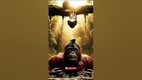 Orangutan vlogger - Attacked by a giant python, guys 🦧😱 #shorts #horror #orangutan #vlogger #veo3